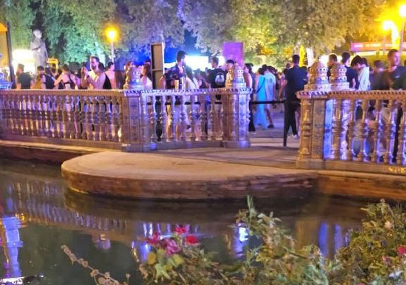 Festival Icónica. - PACMA