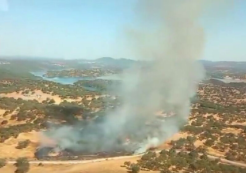Incendio en el paraje Dehesa de Frías (Constantina) .- INFOCA