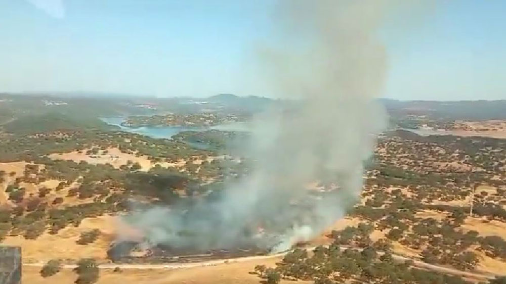 Incendio en el paraje Dehesa de Frías (Constantina) .- INFOCA