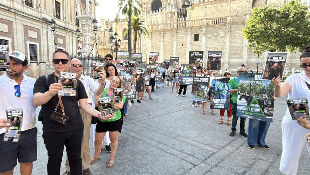 El Partido Animalista organiza un desfile de cien personas en Sevilla denunciando la explotación de caballos en coches turísticos. - PACMA