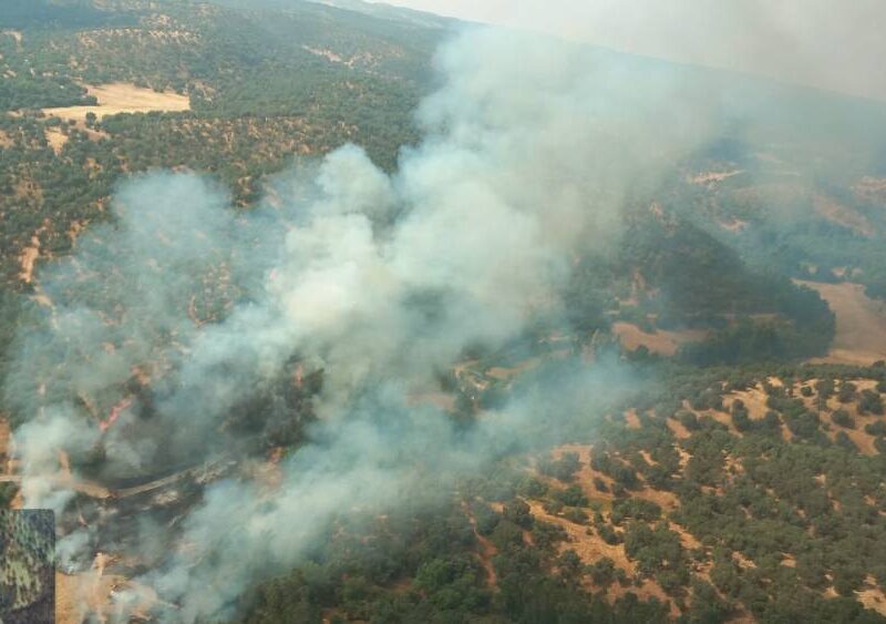 El incendio de San Nicolás del Puerto. - Plan Infoca