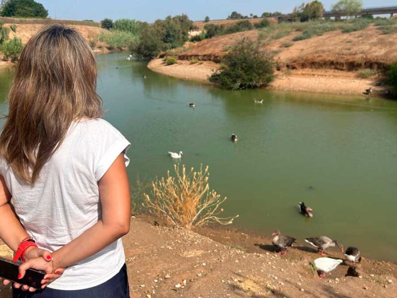 Visita del gobierno municipal al Parque del Tamarguillo tras la aparición de aves muertas en la laguna - Ayuntamiento de Sevilla