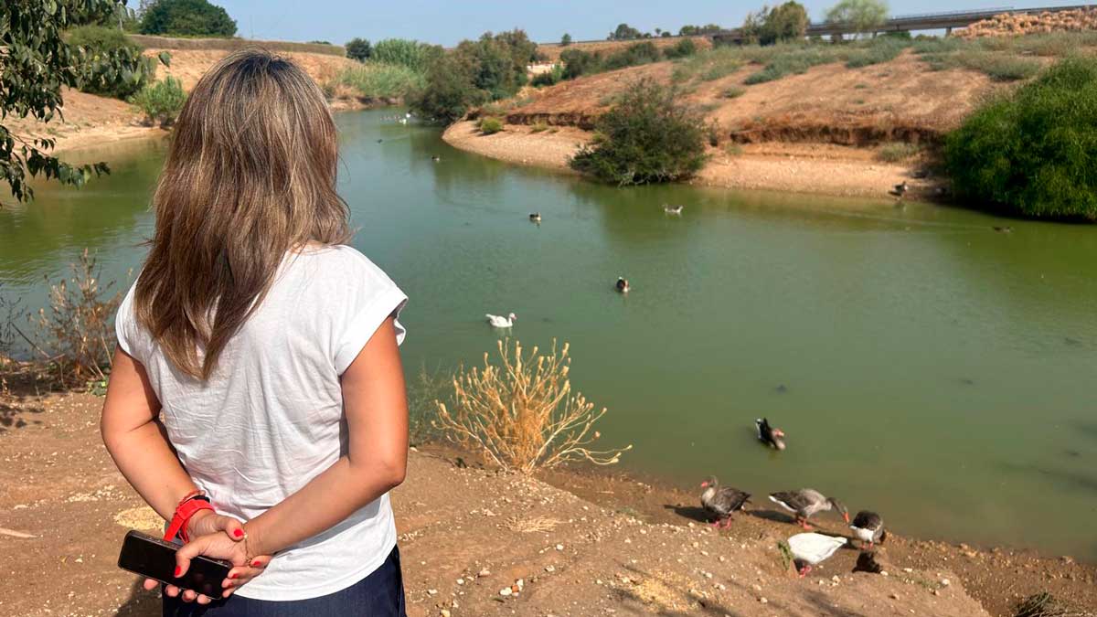 Visita del gobierno municipal al Parque del Tamarguillo tras la aparición de aves muertas en la laguna - Ayuntamiento de Sevilla