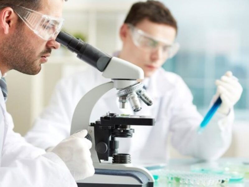 Análisis en un laboratorio sobre presencia del virus de gripe aviar - JUNTA DE ANDALUCÍA