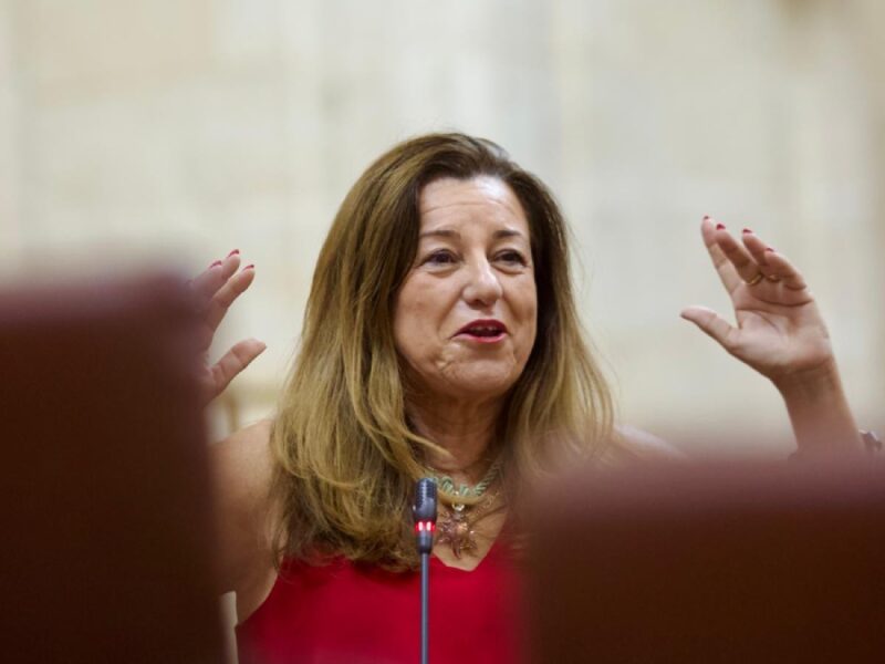 La consejera María del Carmen Castillo