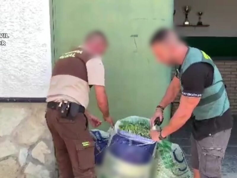 Detenidas 2 personas e investigadas otras 6 por robos de maquinaria y aceitunas en el Aljarafe sevillano en varias intervencione