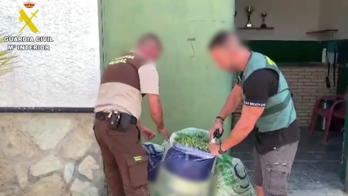 Detenidas 2 personas e investigadas otras 6 por robos de maquinaria y aceitunas en el Aljarafe sevillano en varias intervencione