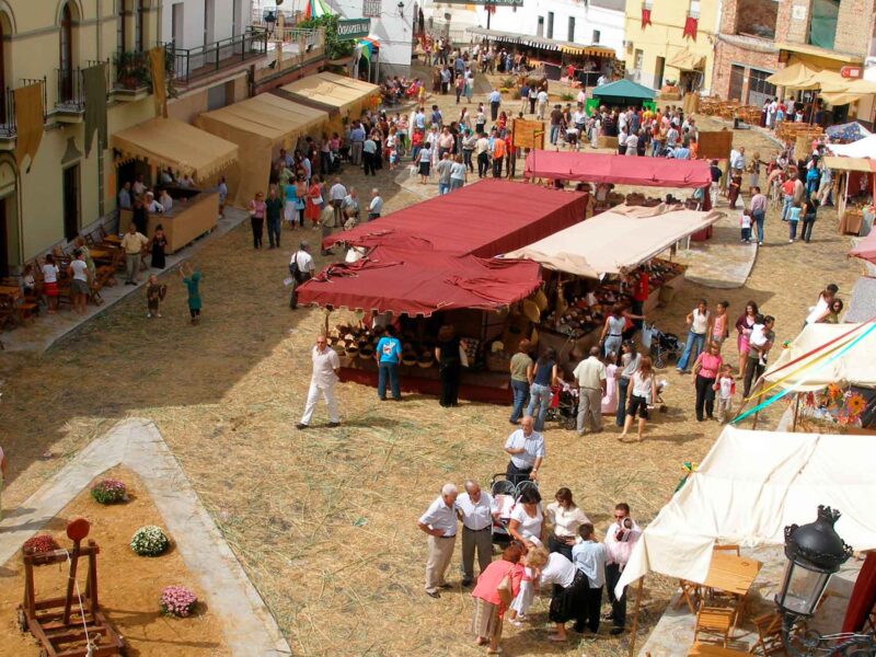 Feria Seda Molares 2025