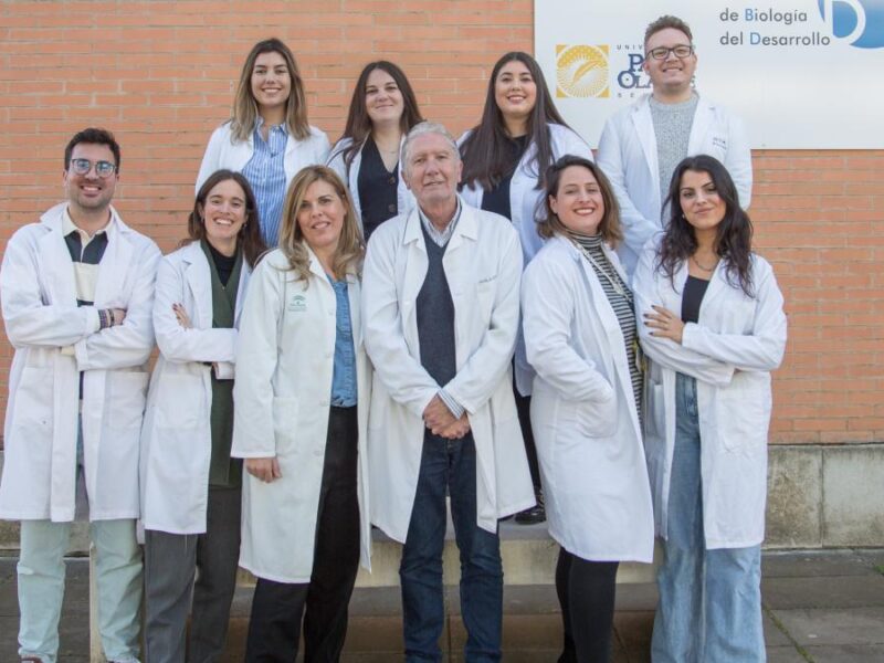Los investigadores de la Universidad Pablo de Olavide