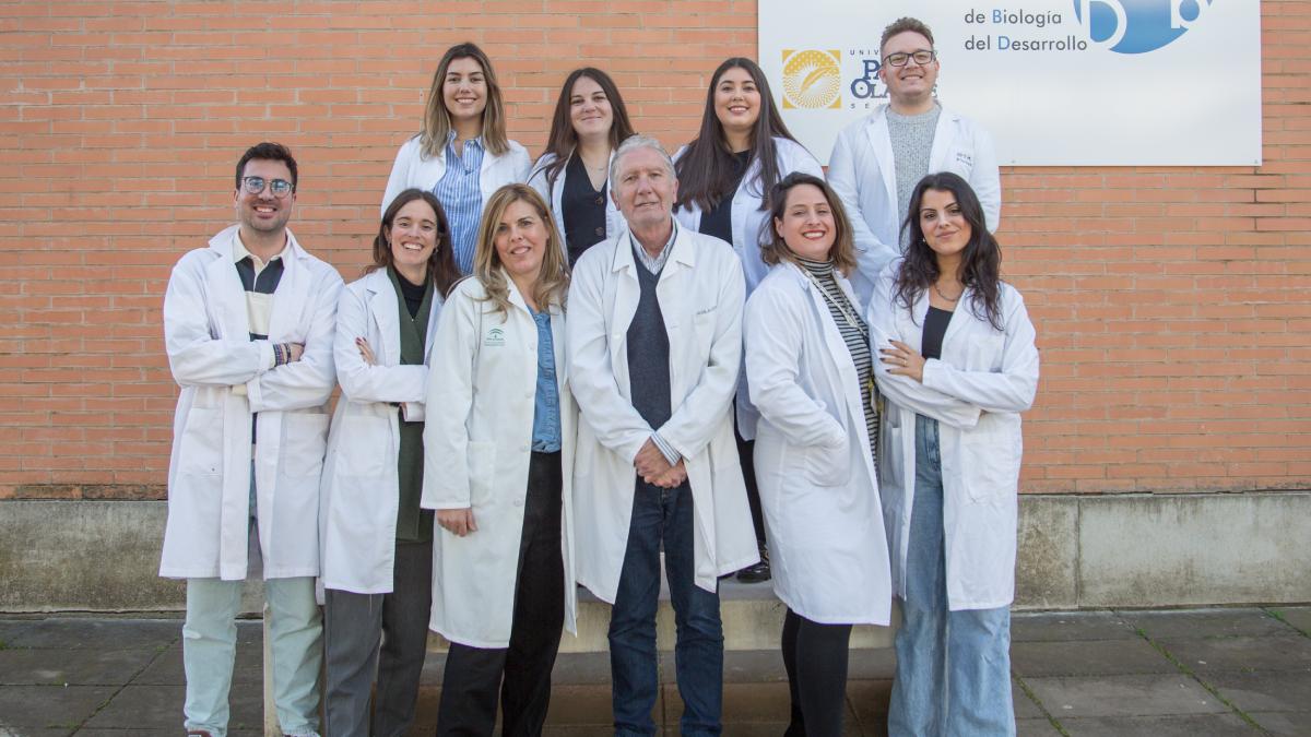 Los investigadores de la Universidad Pablo de Olavide