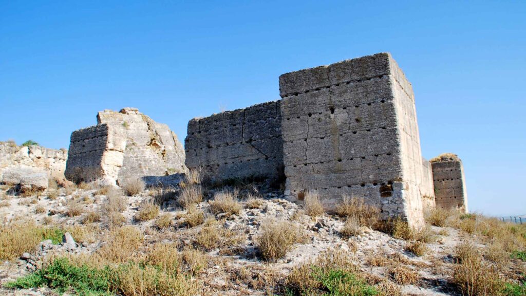Fortaleza árabe de Alhonoz
