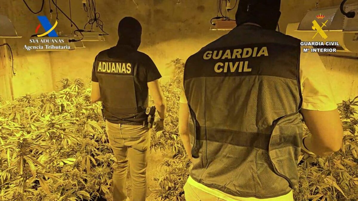 Operativo de la Guardia Civil durante la intervención en Osuna